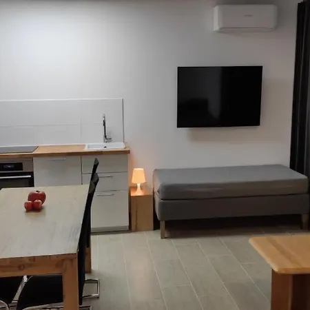 Eleonoras In Stadt Mit Terrasse Und Eigenen Parkplaetzen Vor Der Tuer, Fuer Grosse Gruppen Bis Zu 13 Personen Geeignet Apartment *